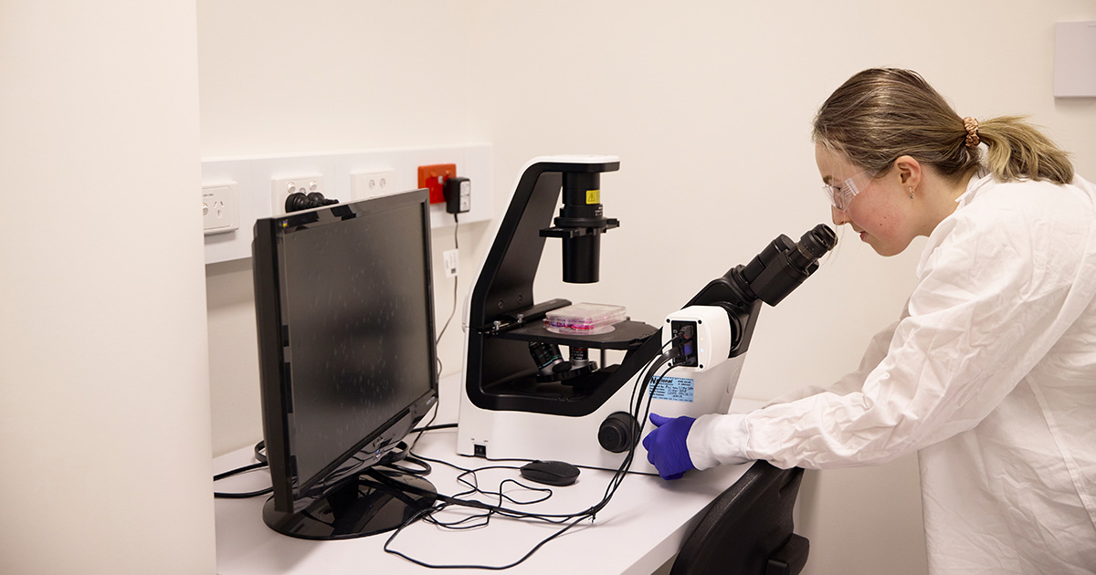 Anti-cancer antibiotics