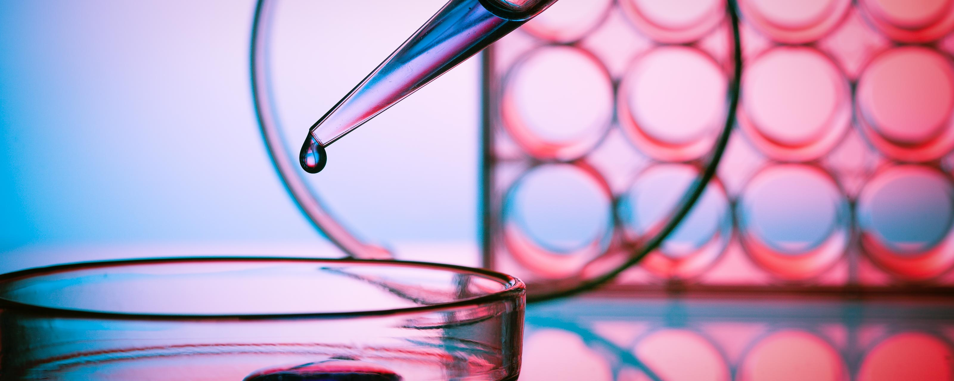 Examining the impact of sleep on Alzheimer's